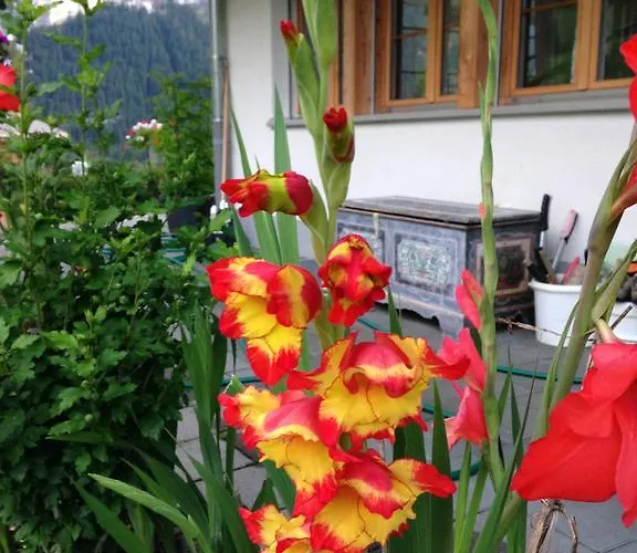 Pfingsteggblick Appartamento Grindelwald