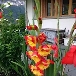 Pfingsteggblick Lejlighed Grindelwald