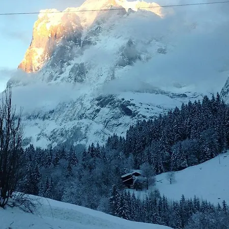 公寓 芬斯特布里克公寓 格林德瓦