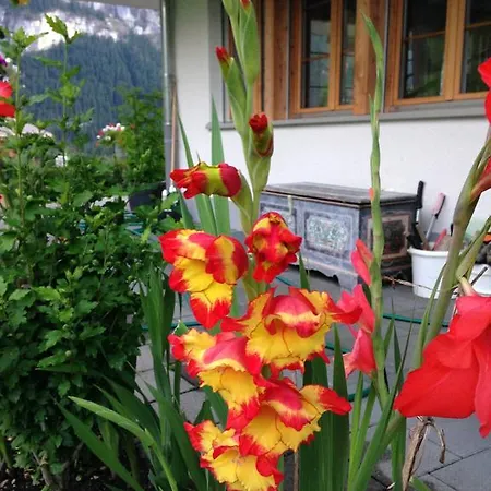 芬斯特布里克公寓 公寓 格林德瓦